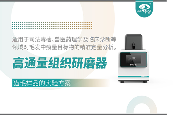 高通量組織研磨器處理寵物貓毛樣品的實驗方案（濕磨法）