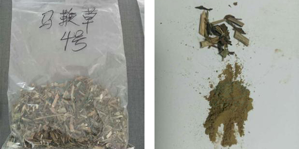 馬鞭草官網案例對比圖